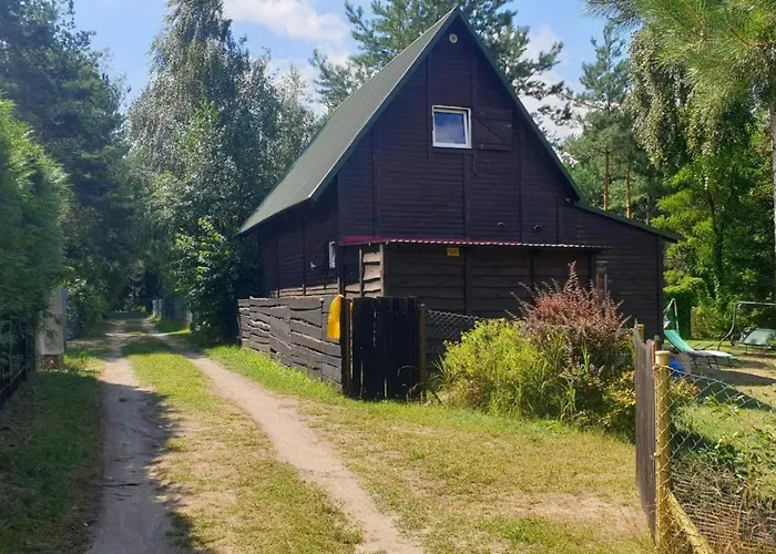 Domki Nad Jeziorem, Las, Do 10 Osob Jezioro Wilczynskie Budzislawskie - Domek Letniskowy Osobno Ogrodzony, Ogrzewany Mile Widziane Pieski, Zwierzeta- Wielkopolska, 62-550 Zygmuntowo Gm Wilczyn
