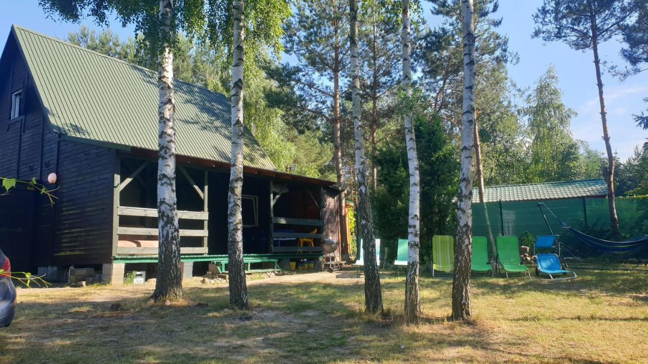 Nad Jeziorem, Las, Do 10 Osob Jezioro Wilczynskie Budzislawskie - Letniskowy Osobno Ogrodzony, Ogrzewany Mile Widziane Pieski, Zwierzeta- Wielkopolska, 62-550 Zygmuntowo Gm Wilczyn * Zygmuntowo (Konin)