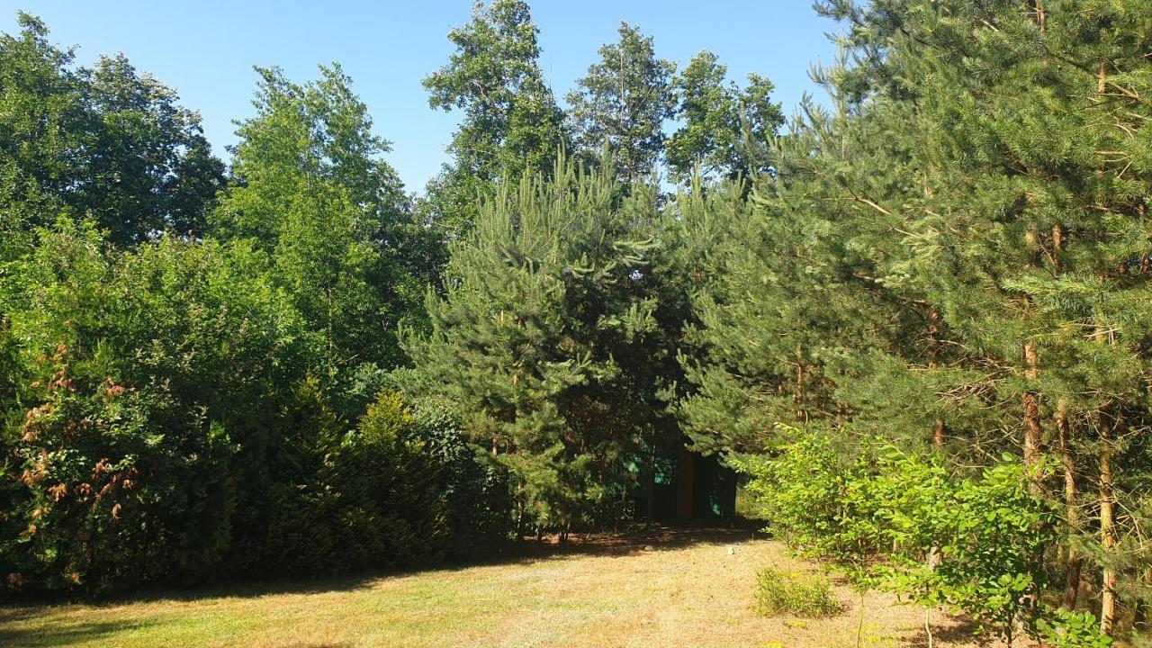 Nad Jeziorem: Lakeside For Groups Holiday home Zygmuntowo (Konin)