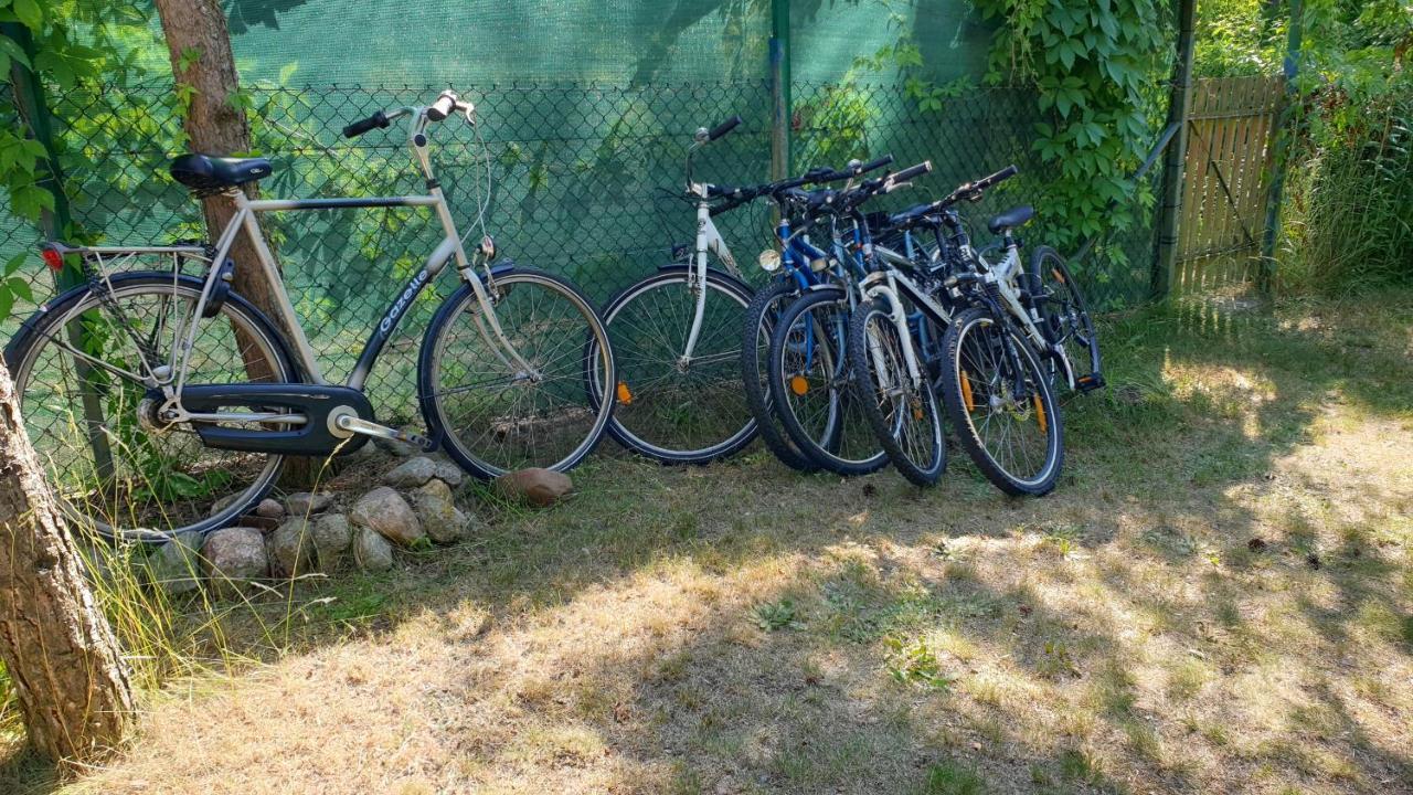Feriehus Nad Jeziorem, Las, Do 10 Osob Jezioro Wilczynskie Budzislawskie - Letniskowy Osobno Ogrodzony, Ogrzewany Mile Widziane Pieski, Zwierzeta- Wielkopolska, 62-550 Zygmuntowo Gm Wilczyn Zygmuntowo (Konin)